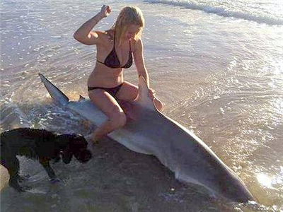 【画像】打ち上げられたサメに乗って写真を撮った女の子が炎上