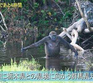 群馬県、ゲーム「ぐんまのやぼう」制作者に感謝状　群馬の知名度ＵＰに貢献