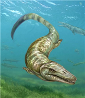 海棲爬虫類として知られるモササウルス類の新種発見、初の淡水性