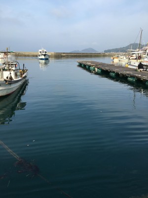 今から離島に魚釣りに行くンゴ