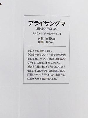 【悲報】新井さんアライグマになる