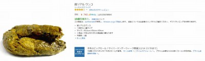 Amazonの商品レビュー書くやつwwwwwwwwww