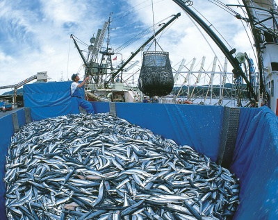 日本の漁業は衰退しているという風潮