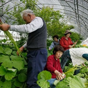 72歳は新しい30歳”長寿の謎…人間はもっと長生きする可能性がある？