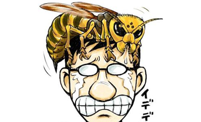 【社会】殺人スズメバチが対馬定着　中国原産　遺伝子は韓国　養蜂産業や在来種に悪影響(ZAKZAK)