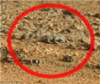 日本のネットユーザー、米キュリオシティ撮影の火星の写真からトカゲ発見