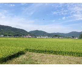 サイクリング行って来るでー