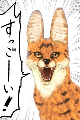 けものフレンズのサーバルちゃん可愛すぎwwwwwwwwwwwwww