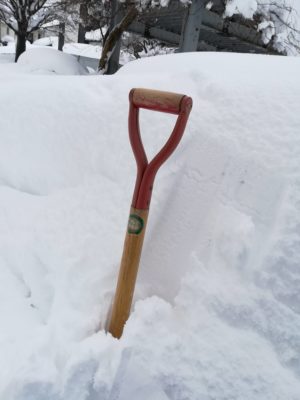 北陸雪ヤバすぎて草