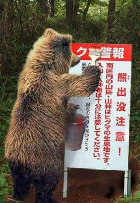 クマさん「にんげんさんあそんでー」ﾄﾞｺｰ　人間「あああああ！」