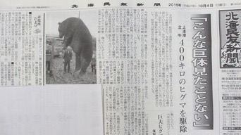 【話題】紋別市：400キロのヒグマを駆除、「こんな巨体見たことない」～「巨大ヒグマを捕った」との話題は地域を駆け巡り、集まった大勢の人たちも、その大きさに驚いたという