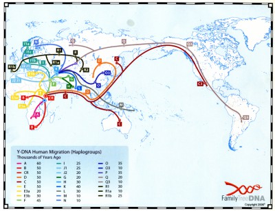 【科学】4代前にネアンデルタール人の親、初期人類で判明