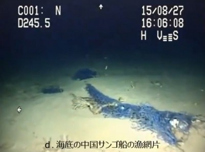 【社会】沖縄アカサンゴが激減、海底が「白い砂漠」　中国漁船による密漁被害は「小笠原と同様酷かった」