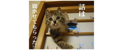 【ネコ】 猫の国勢調査2014